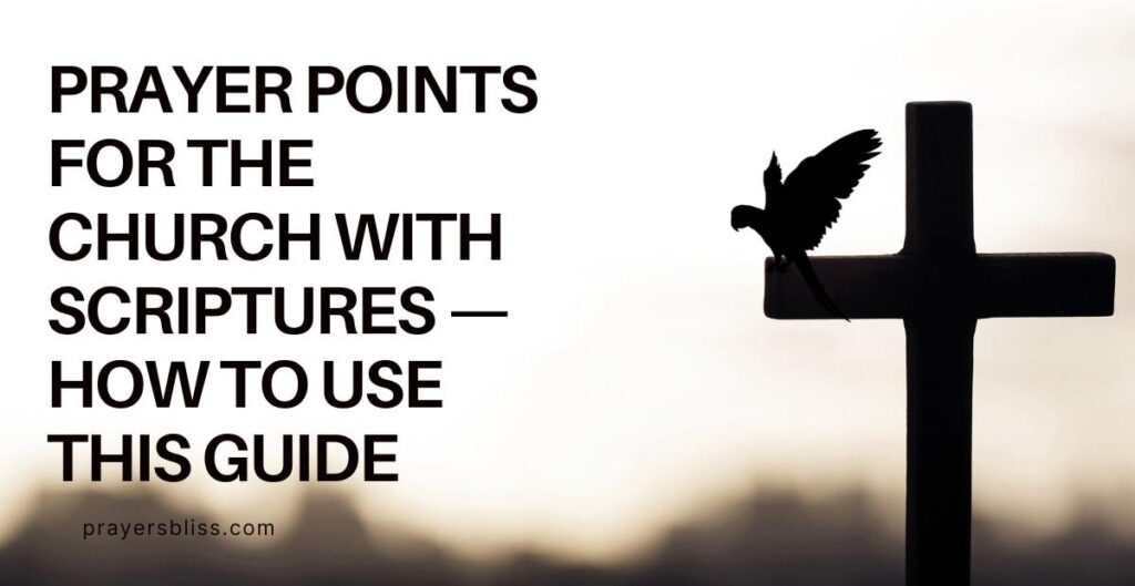 Prayer Points for the Church with Scriptures — How to Use This Guide